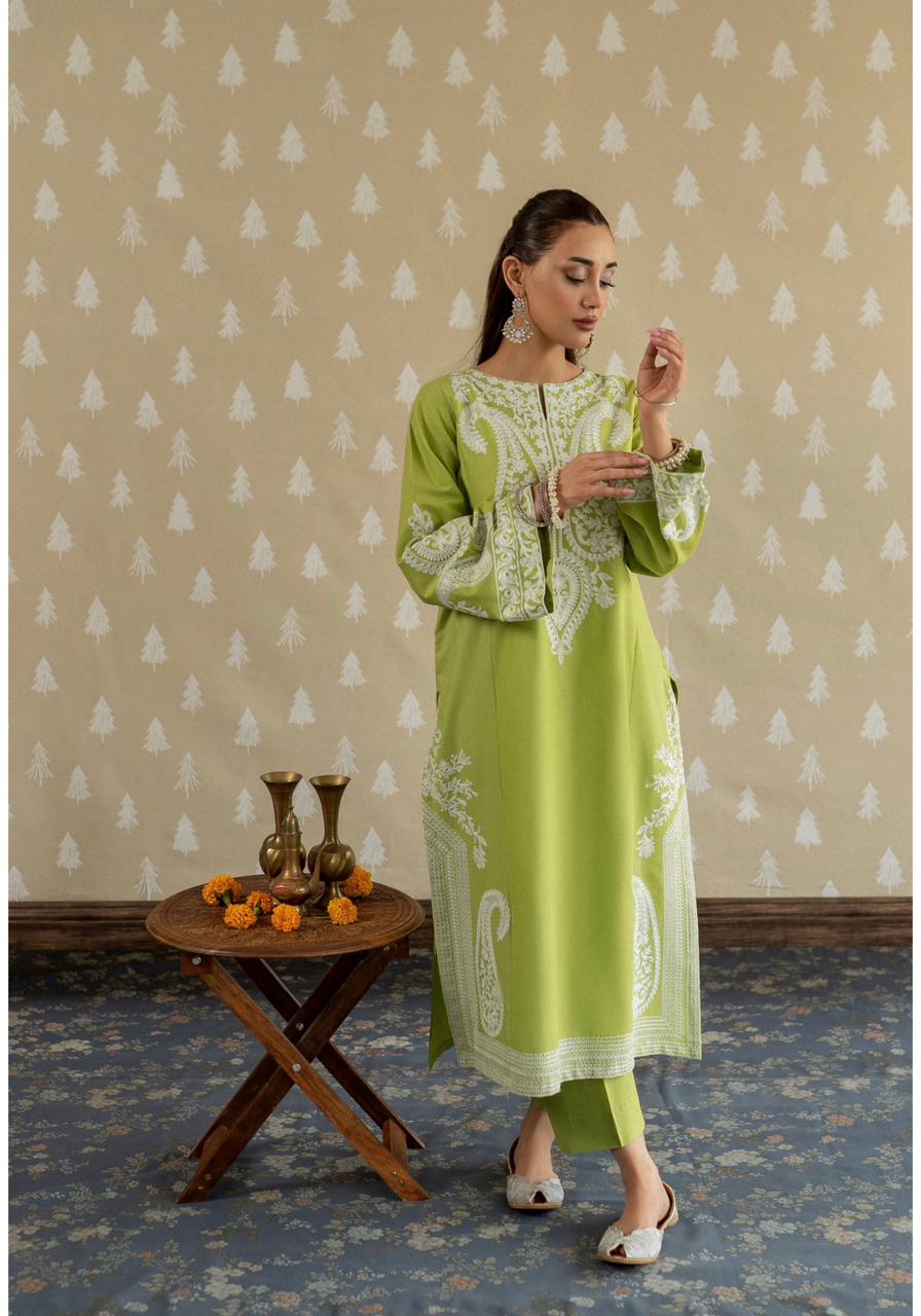 Embroidered Lawn 2-Pc Suit