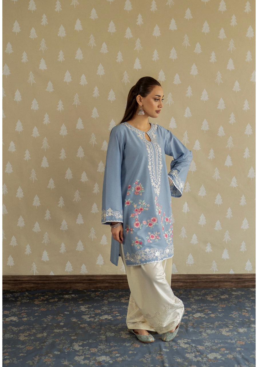Embroidered Lawn 2-Pc Suit